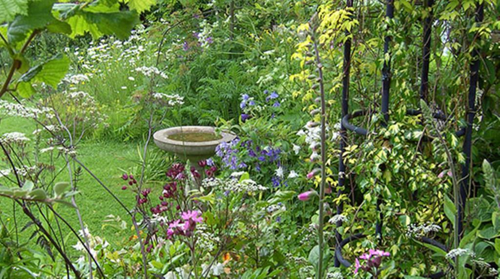 Thorpe Green House Vegetarian Bed & Breakfast Robin Hood's Bay Exterior foto