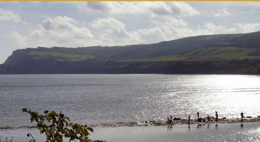 Thorpe Green House Vegetarian Bed & Breakfast Robin Hood's Bay Exterior foto