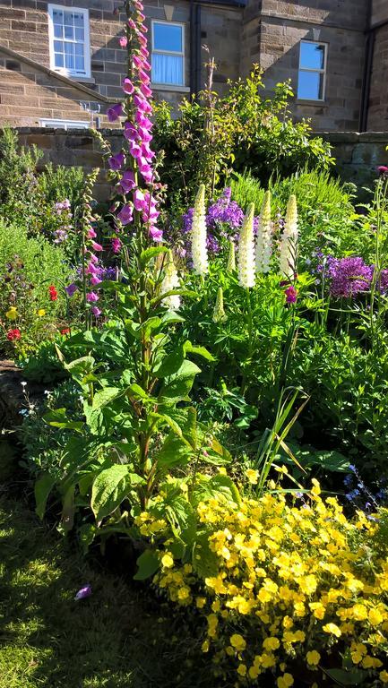 Thorpe Green House Vegetarian Bed & Breakfast Robin Hood's Bay Exterior foto
