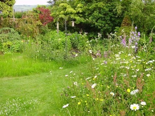 Thorpe Green House Vegetarian Bed & Breakfast Robin Hood's Bay Exterior foto